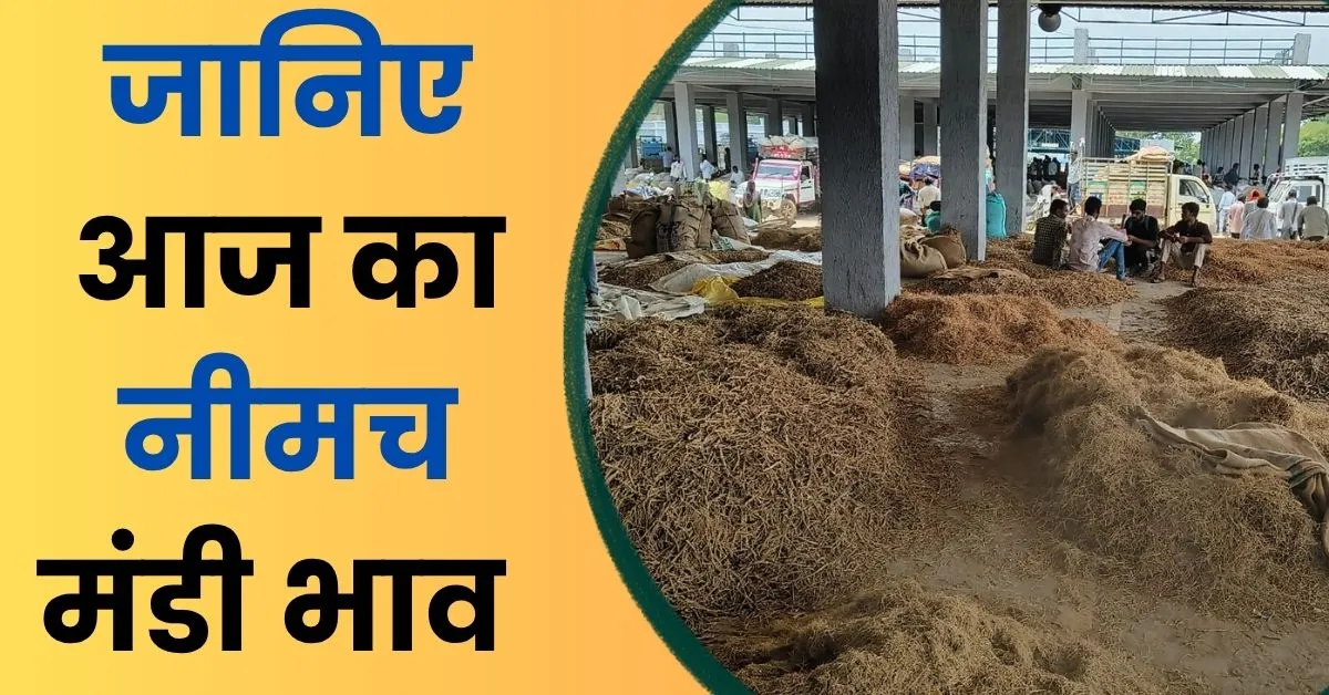 Aaj Ka Mandi Bhav 28 July 2026
