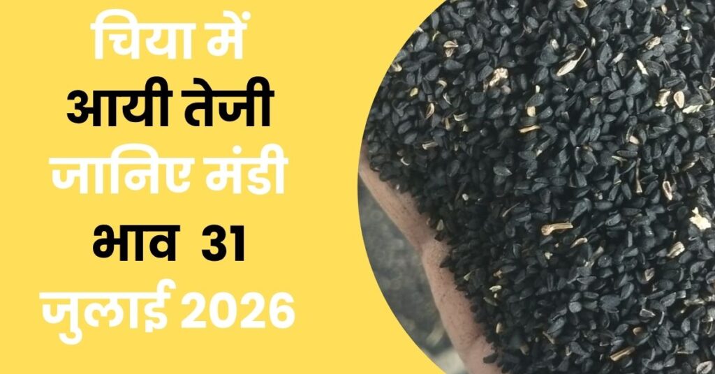 Chiya mein aayi teji janiye mandi bhav 31 july 2026
