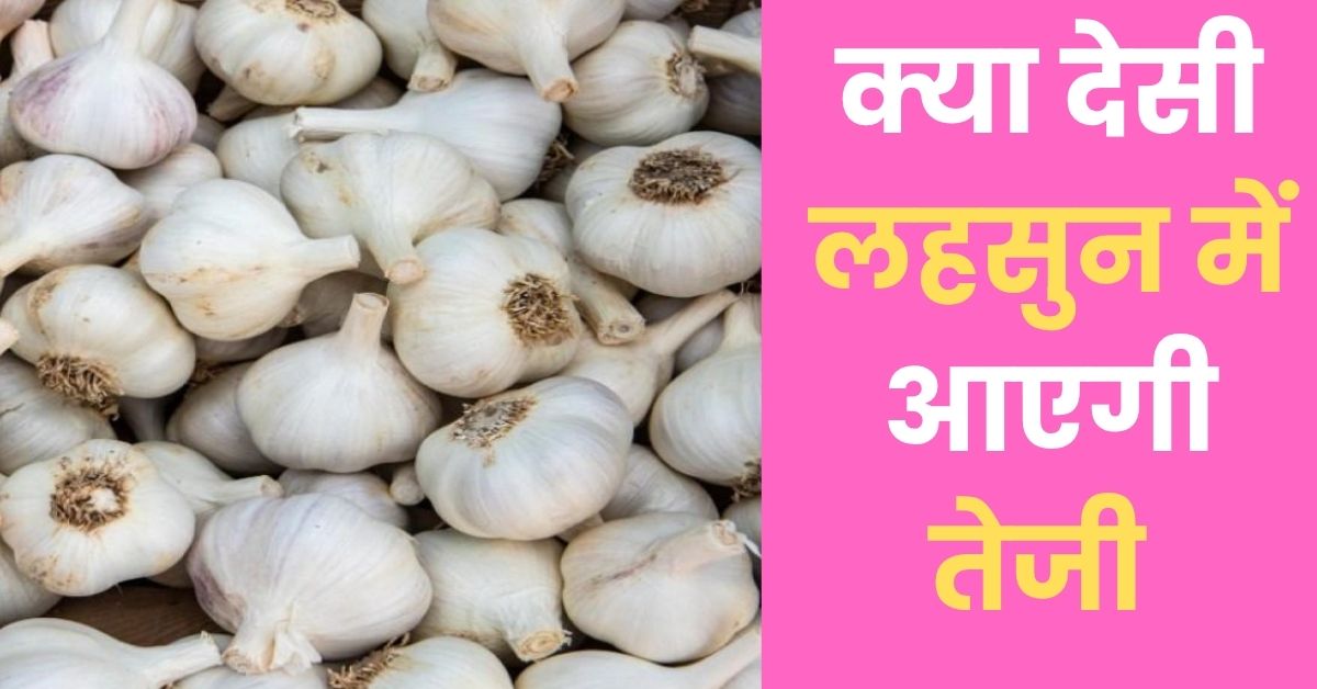 Kya Desi Lashun Me Aayegi Teji 30 July 2026