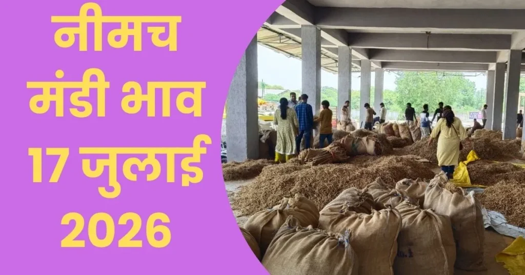 Neemuch Mandi Bhav 17 July-2026