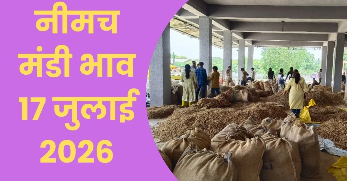 Neemuch Mandi Bhav 17 July-2026