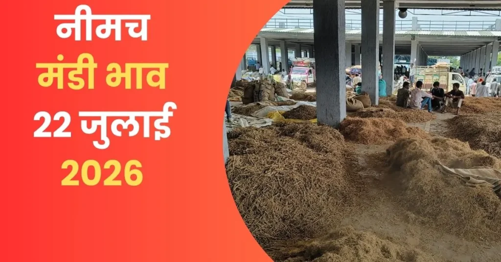 Neemuch Mandi Bhav 22 July-2026