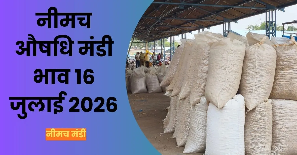 Neemuch Mandi Bhav 16 July- 2026