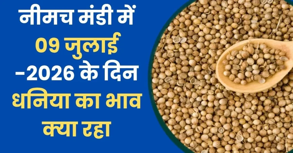 Neemuch Mandi Bhav Today