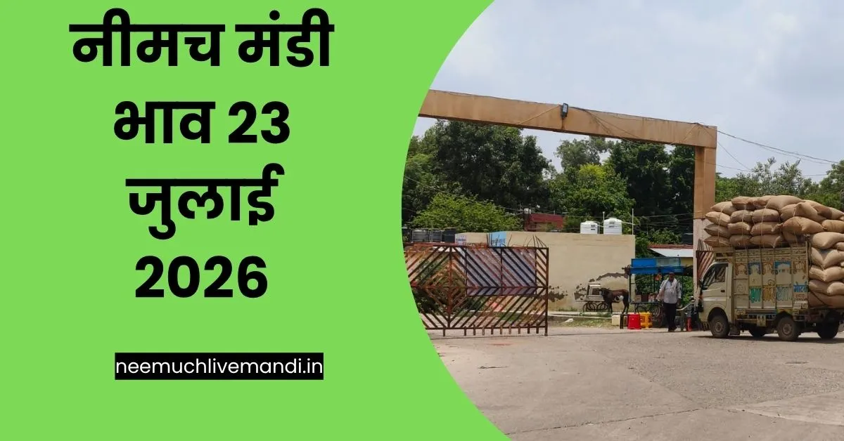 Neemuch Mandi Bhav 23 July-2026