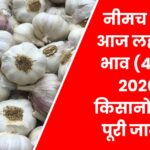 Neemuch Mandi Lahsun Ka Bhav