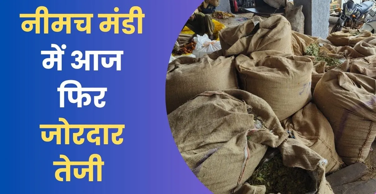 Neemuch Mandi Me Jordar Teji