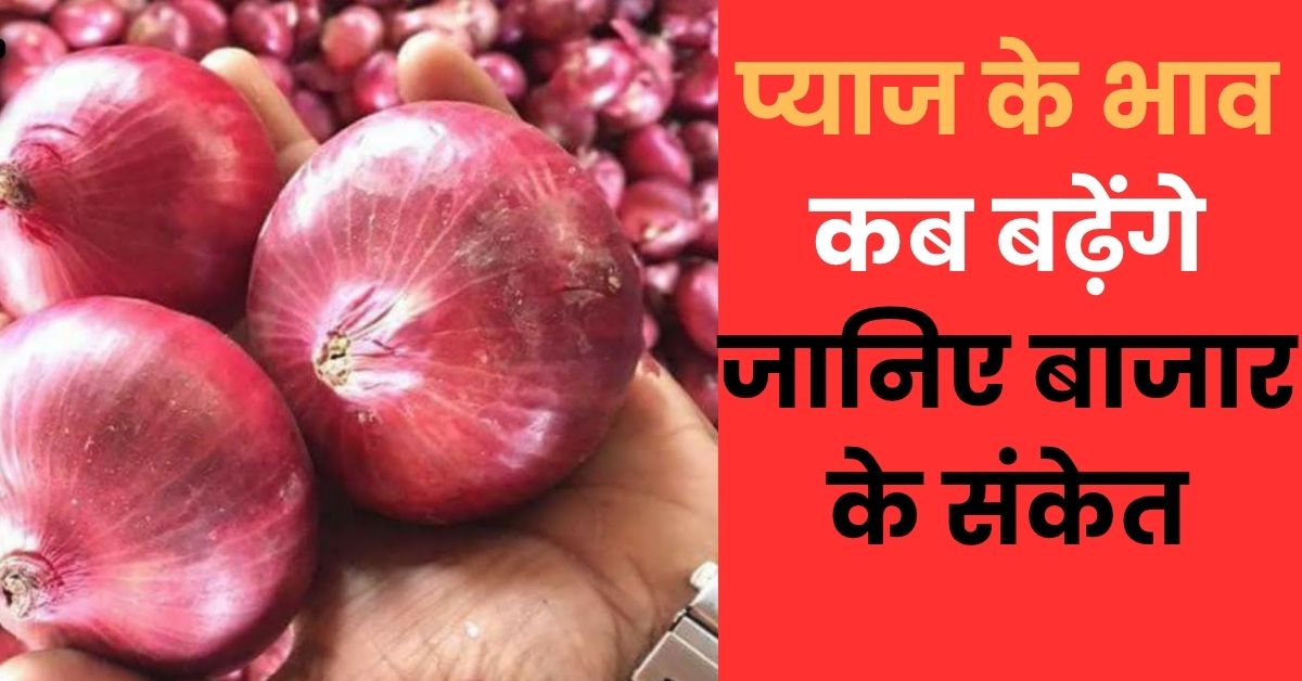 Pyaj Ke Bhav Kab Badhenge? Janiye Bazar Ke Sanket 29 July 2026