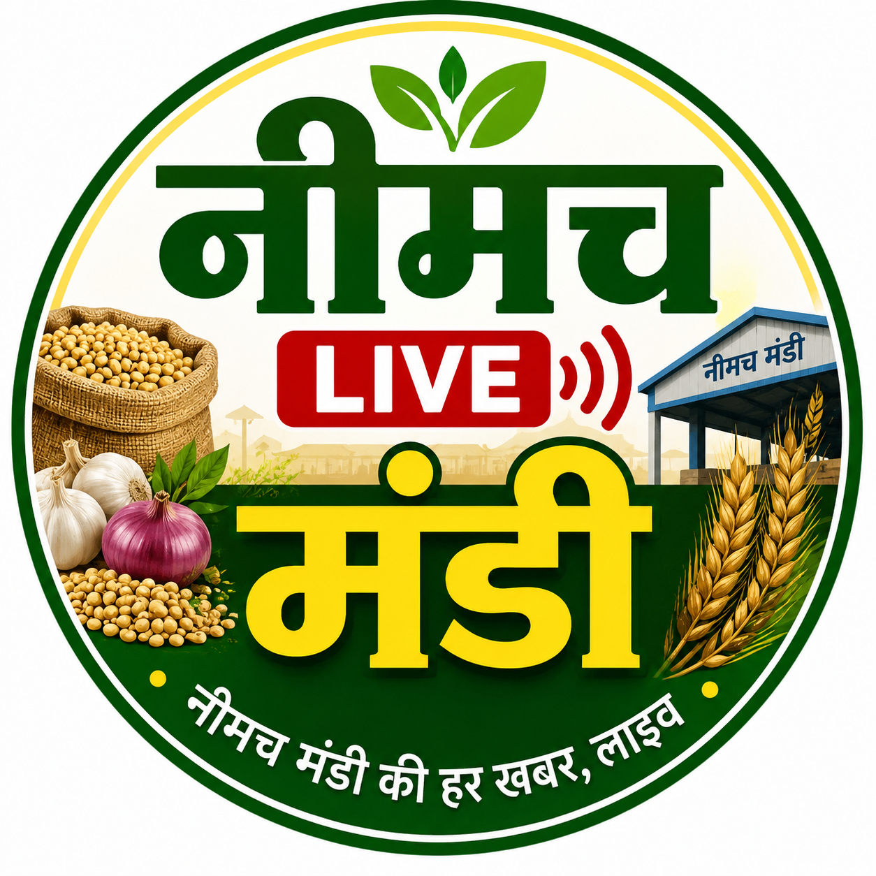 Neemuch Live 
