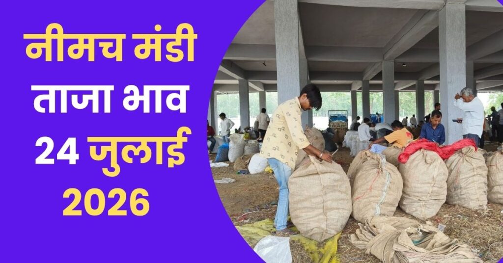 Neemuch Mandi Taja Bhav 24 July-2026