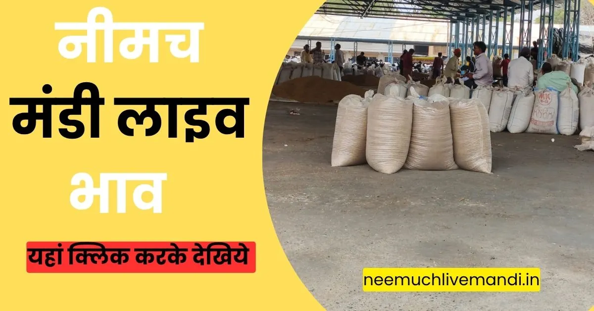 Neemuch Mandi Bhav Today 15 July-2026