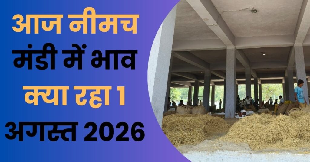Neemuch Mandi Bhav 1 August 2026 