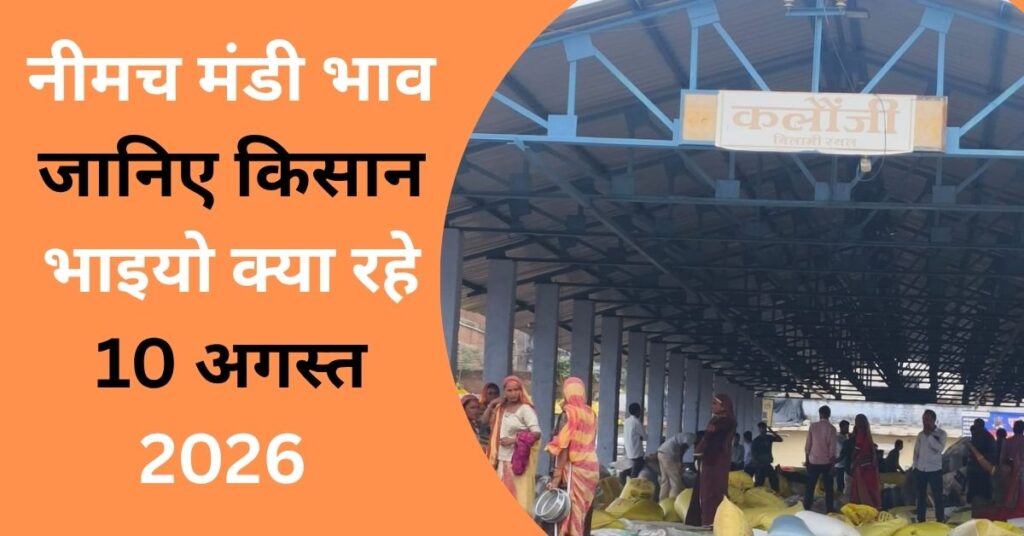 Neemuch Mandi Bhav 10 August 2026