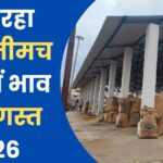 Neemuch Mandi Bhav 19 August 2026