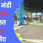 Neemuch Mandi Bhav Today 25 August 2026