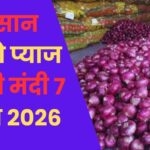Neemuch Pyaj Mandi Update 7 August 2026