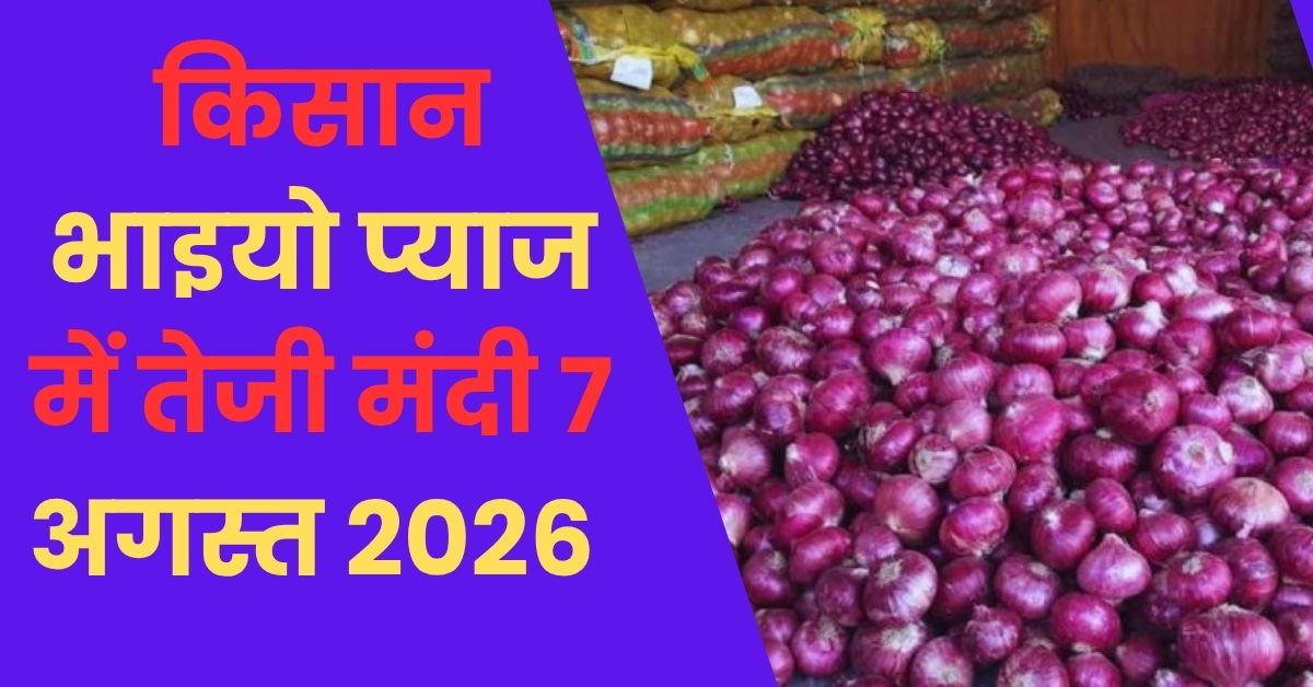 Neemuch Pyaj Mandi Update 7 August 2026