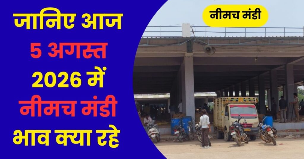 Neemuch Mandi Bhav 5 August 2026