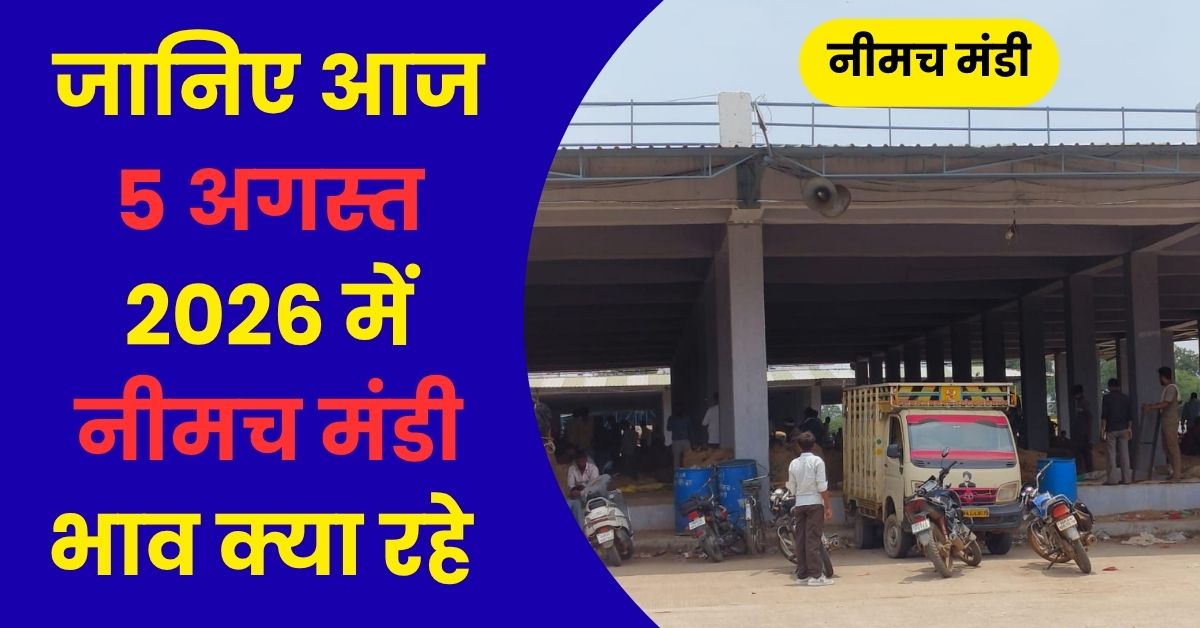 Neemuch Mandi Bhav 5 August 2026