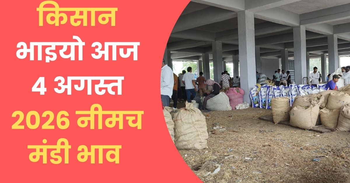 Neemuch mandi bhav 4 August 2026